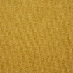 Beachcomber Tumeric
