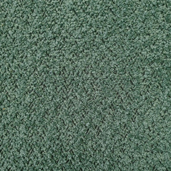 Desire Evergreen