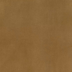 Plush Caramel