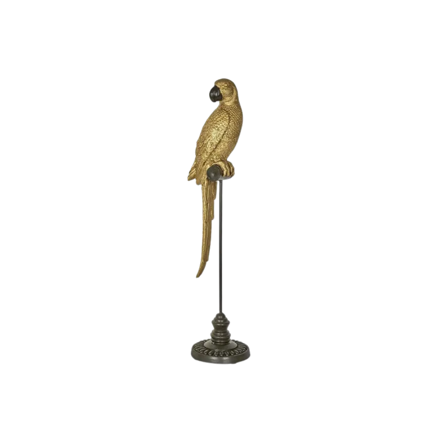 Amabela Parrot Medium Gold
