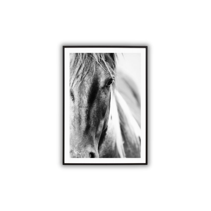 Gentle Steed Print