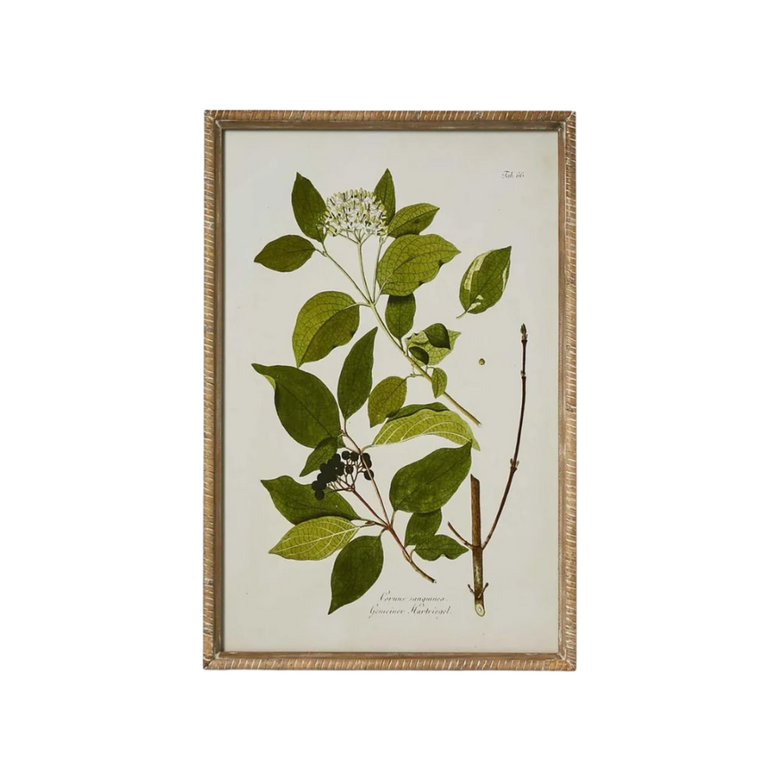 Greenhouse Botanical Wall Art B