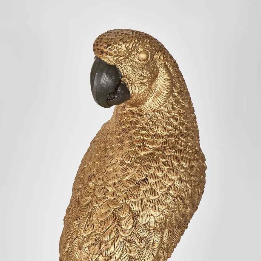 Amabela Parrot Small Gold