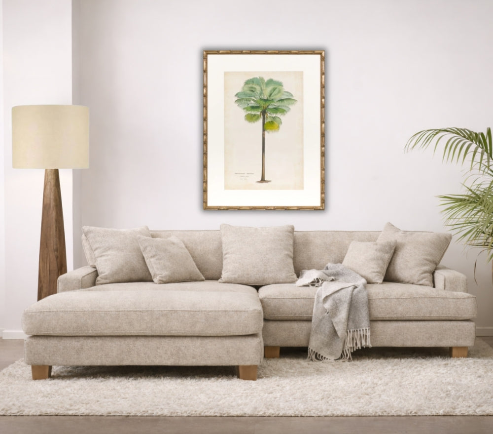 Palm of the Tropics Print 1