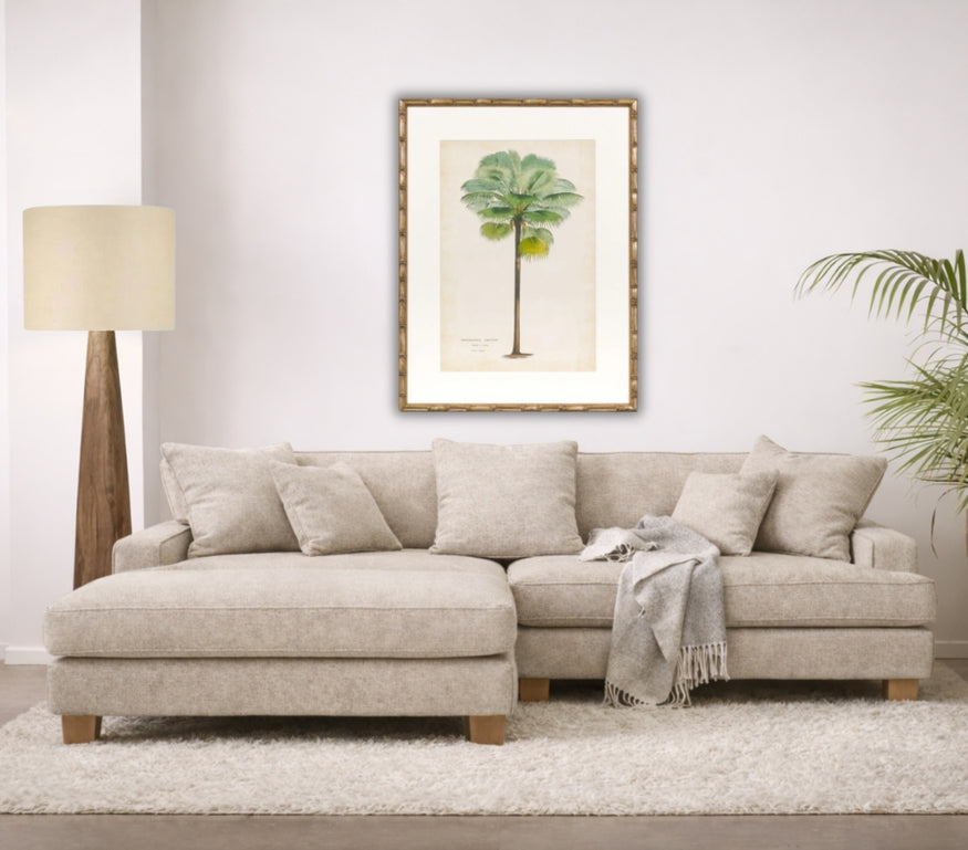Palm of the Tropics Print 1