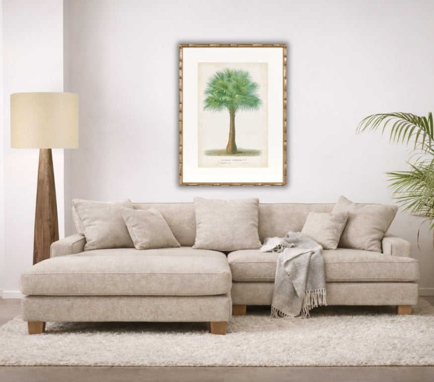 Palm of the Tropics Print 2