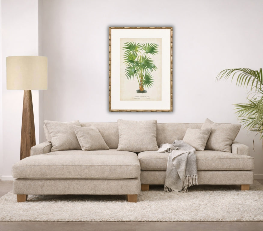 Palm of the Tropics Print 3
