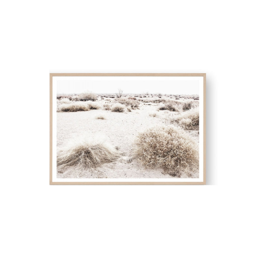 Arid Wilderness Print