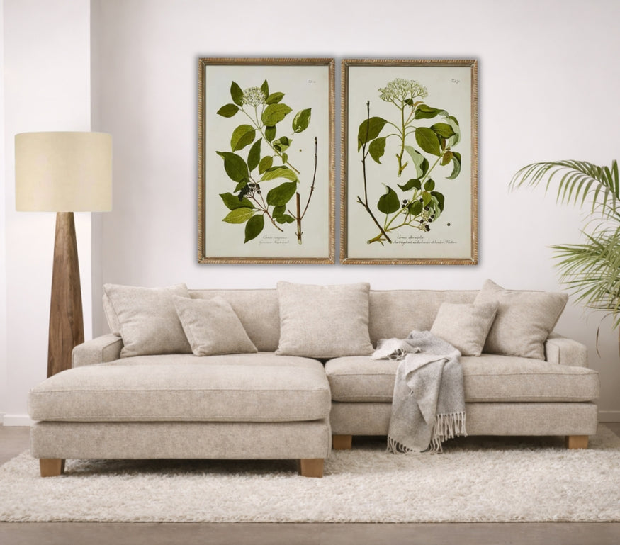 Greenhouse Botanical Wall Art A