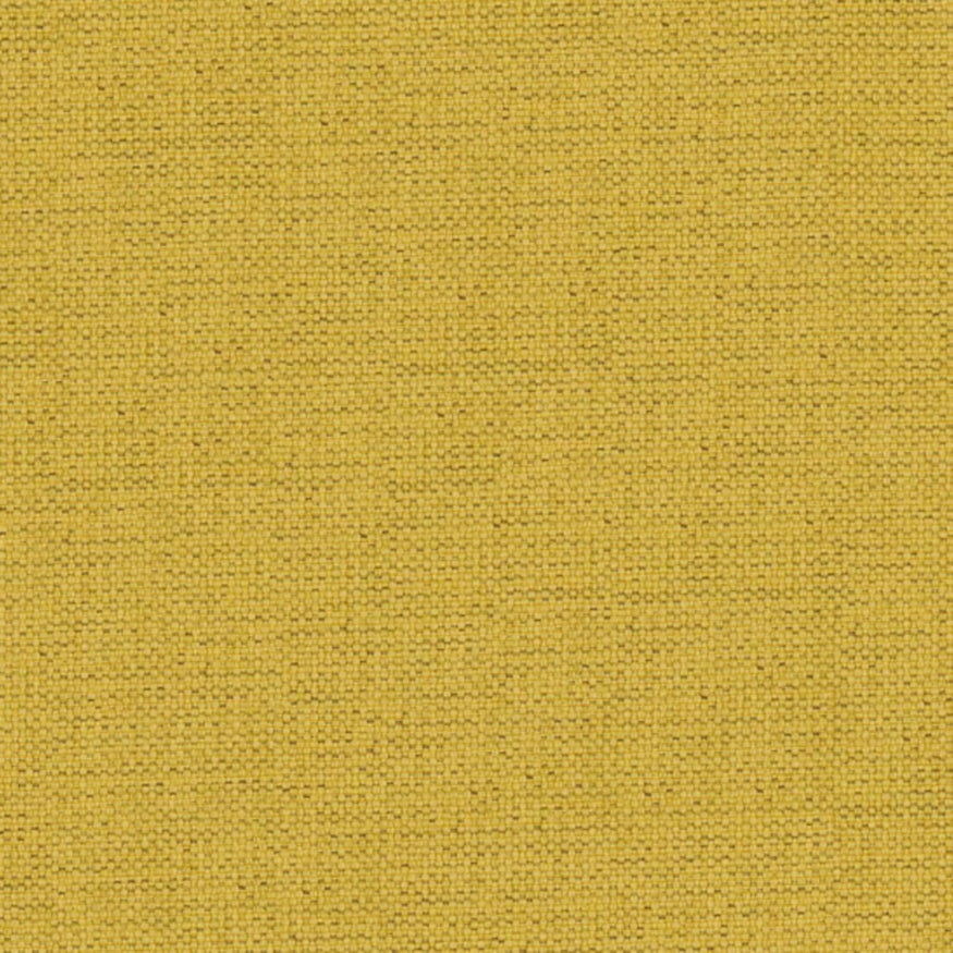 Cairo Tumeric