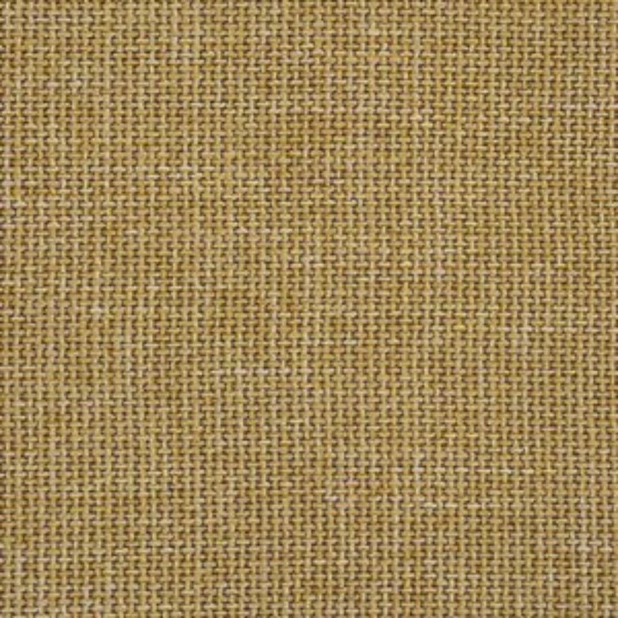 Dapper Ochre