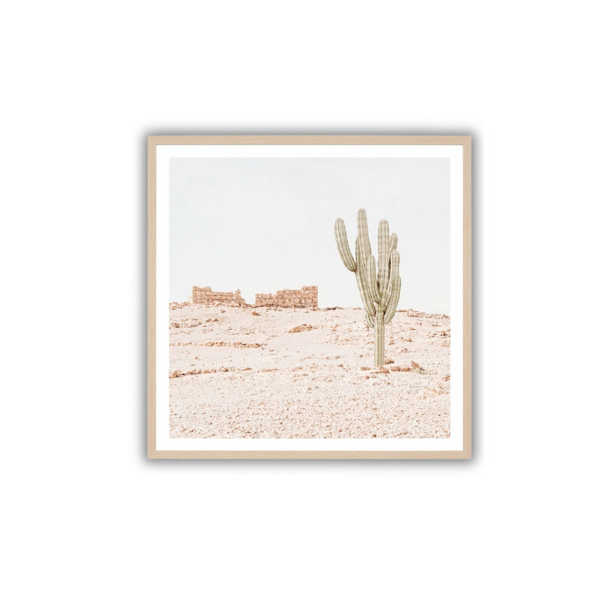 Desert Outlook Print