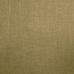 Husk Olive