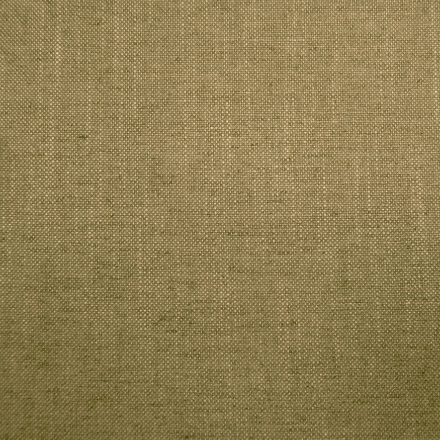 Husk Olive