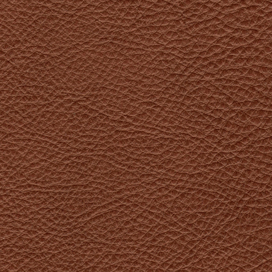 Sauvage Nutmeg