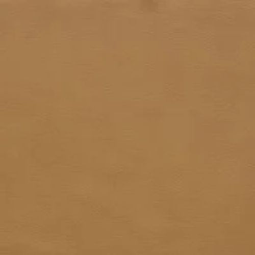 Trend Camel