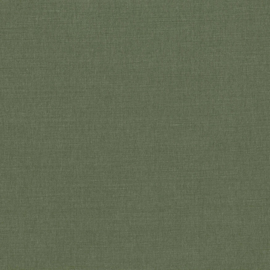 Linara Tarragon
