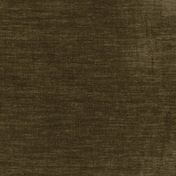 Mareeba Olive
