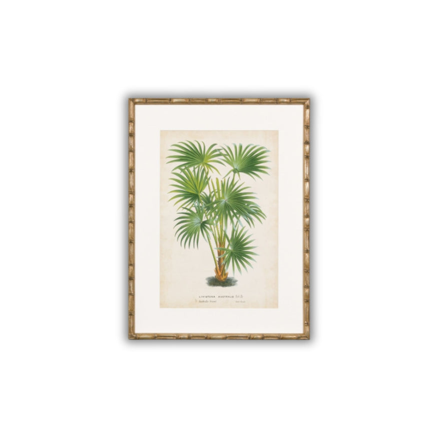 Palm of the Tropics Print 3