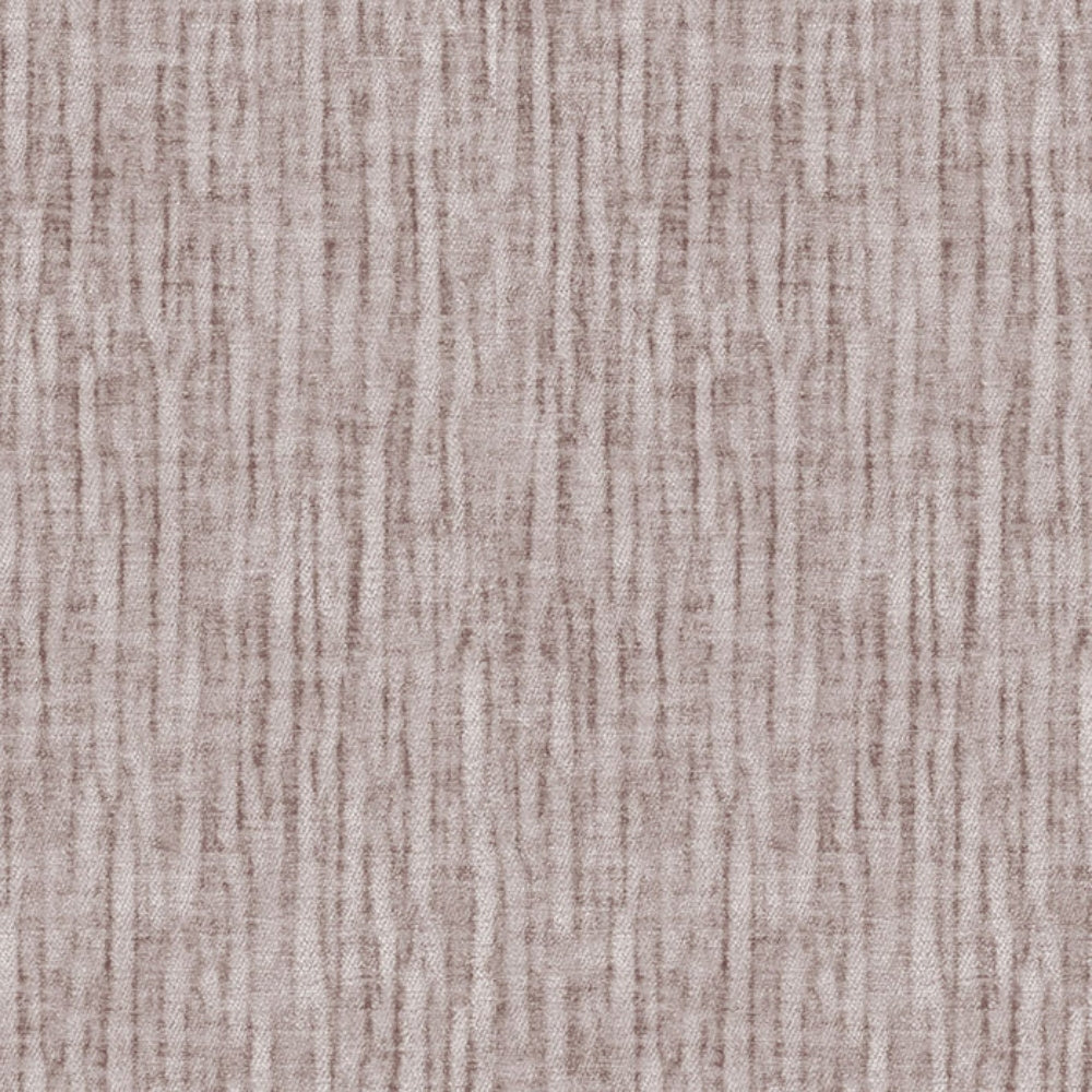 Venus Champagne