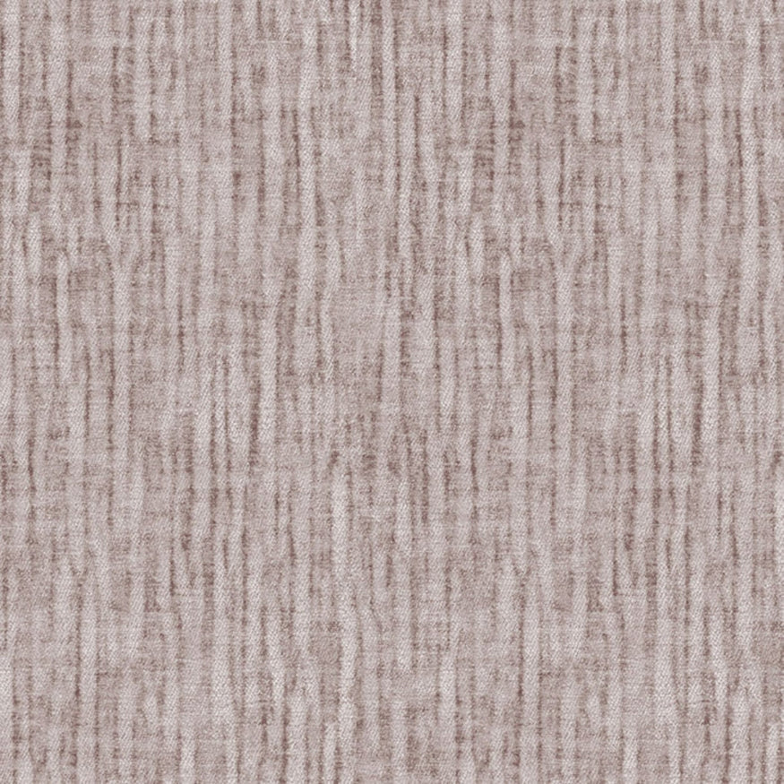 Venus Champagne